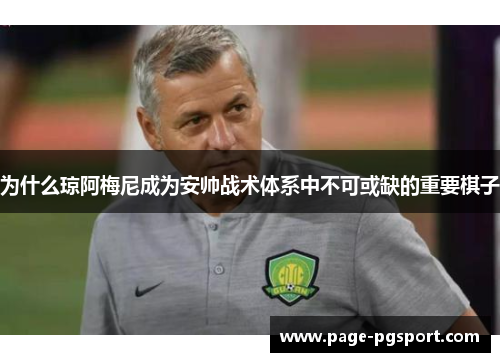 为什么琼阿梅尼成为安帅战术体系中不可或缺的重要棋子