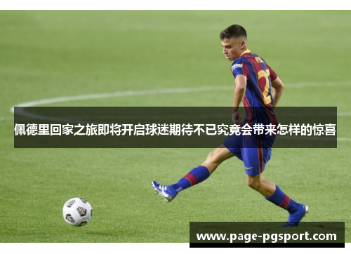 佩德里回家之旅即将开启球迷期待不已究竟会带来怎样的惊喜