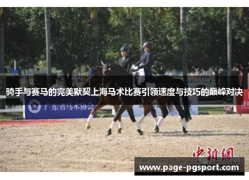 骑手与赛马的完美默契上海马术比赛引领速度与技巧的巅峰对决